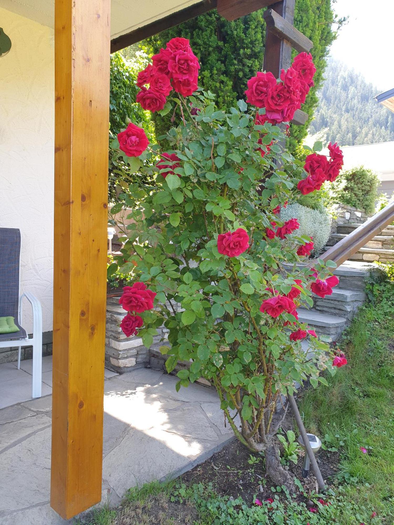 Ferienwohnungen Rupertihaus Flachau Buitenkant foto